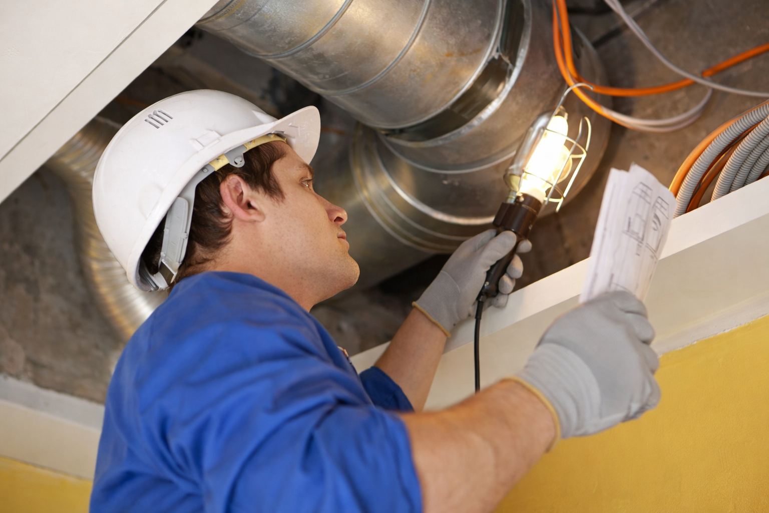 осмотр.png осмотр.png